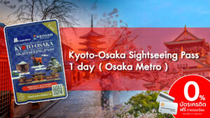 Kyoto Osaka Sightseeing Pass 1 day Osaka Metro 4