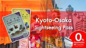 Kyoto Osaka Sightseeing Pass 2