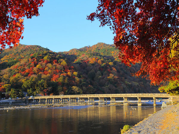 Arashiyama autumn【pl ID2976043】 1