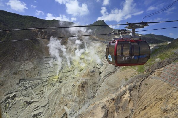 Fuji Hakone Pass - Image 6