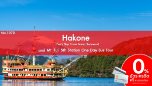 Hakone Pirate Ship Cruise amp Ropeway 3
