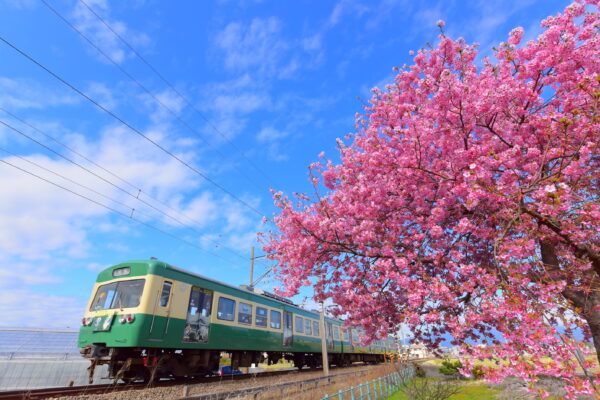 Izuhakone Line 2 Day Pass Rail Bus3 scaled