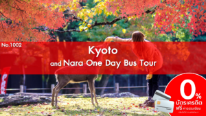 No.1002 Kyoto and Nara One Day Bus Tour