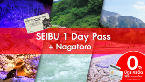 SEIBU 1 Day Pass Nagatoro
