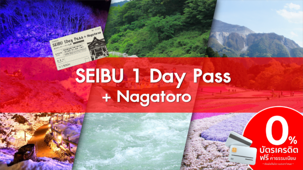 SEIBU 1 Day Pass + Nagatoro