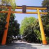 SEIBU 1 Day Pass - Image 4