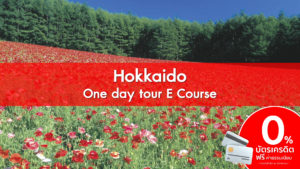 HokkaidoOne day tour E Course