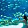 Sunshine Aquarium and Tokyo Subway Ticket (24-hour) - Image 5