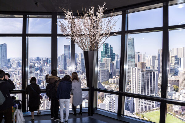 Tokyo Tower Observatory Main Deck 150m Admission Ticket1