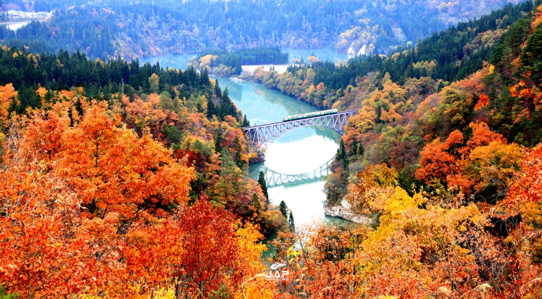 1.Tadami1