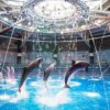 บัตรเข้าชม แม็กเซลล์อะควาพาร์ค ชินางาวะ Maxell Aqua Park Shinagawa Ticket - Image 7
