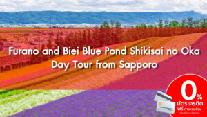 Furano and Biei Blue Pond Shikisai no Oka Day Tour from Sapporo