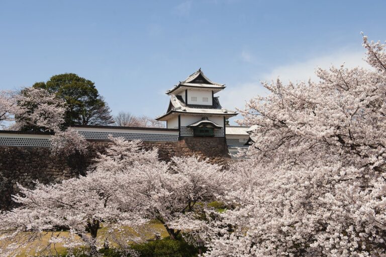 ปราสาทซานาคาวะ (Kanazawa Castle)