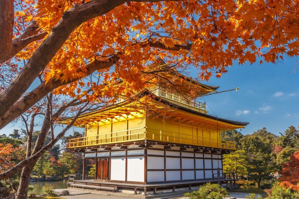 Kinkaku ji