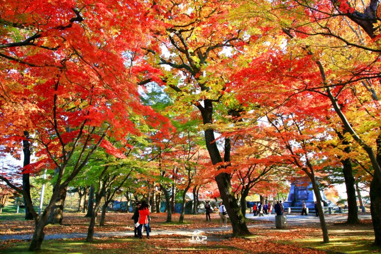 ใบไม้เปลี่ยนสีที่สวน Morioka-jo ato Park
