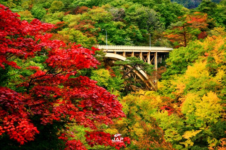 ใบไม้เปลี่ยนสีแสนสวยที่หุบเขา “Naruko Gorge”