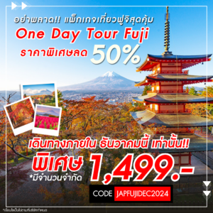 One Day Tour Fuji ลด50 2