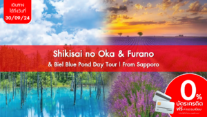 Shikisai no Oka Furano Biel Blue Pond Day Tour From Sapporo 1