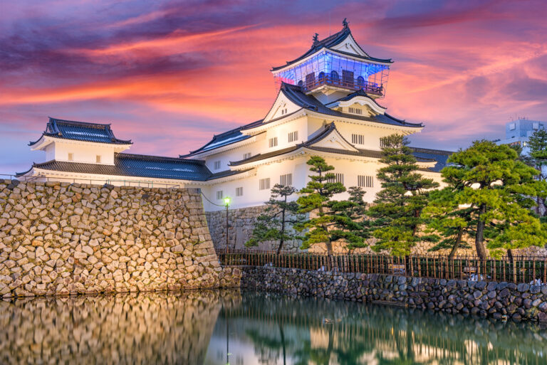 ปราสาทโทยาม่า Toyama Castle