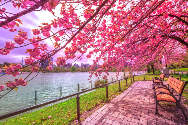 สวนสาธารณะอุเอโนะ (Ueno Park)