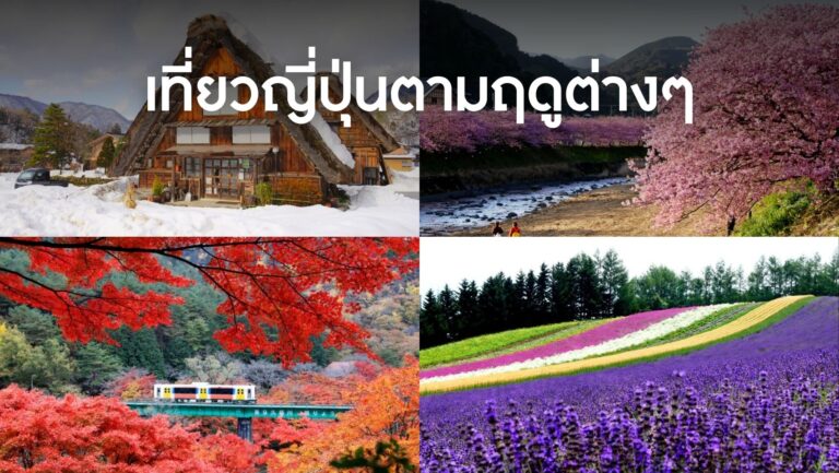 เที่ยวญี่ปุ่นตามฤดูต่างๆ