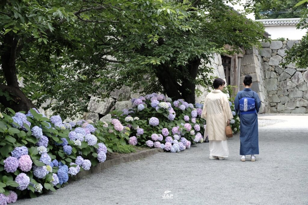 Fukuoka Castle 2