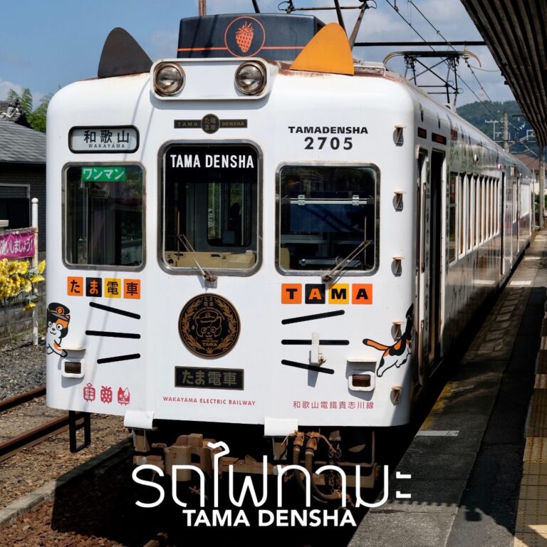 “รถไฟทามะ” (TAMA DENSHA) เส้นทางรถไฟธีมแมวเหมียวสุดน่ารัก