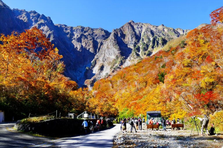 ใบไม้เปลี่ยนสีโตรกผา Ichinokurasawa