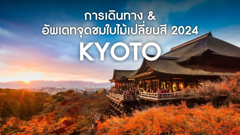 วิธีการเดินทางไปเกียวโต และอัพเดทจุดชมใบไม้เปลี่ยนสี 2024