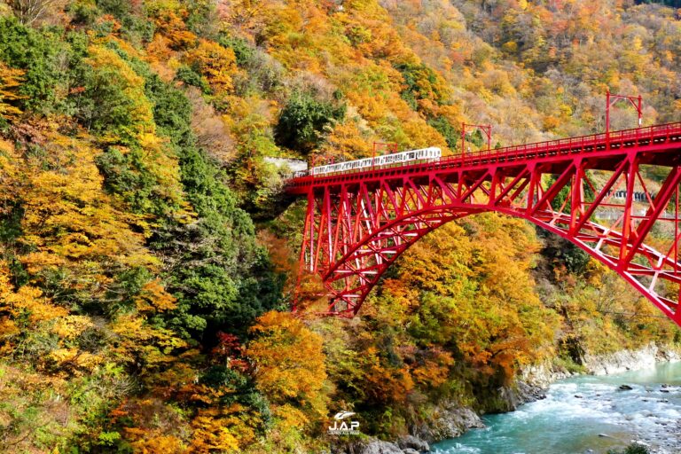 ใบไม้เปลี่ยนสีหุบเขา Kurobe Gorge
