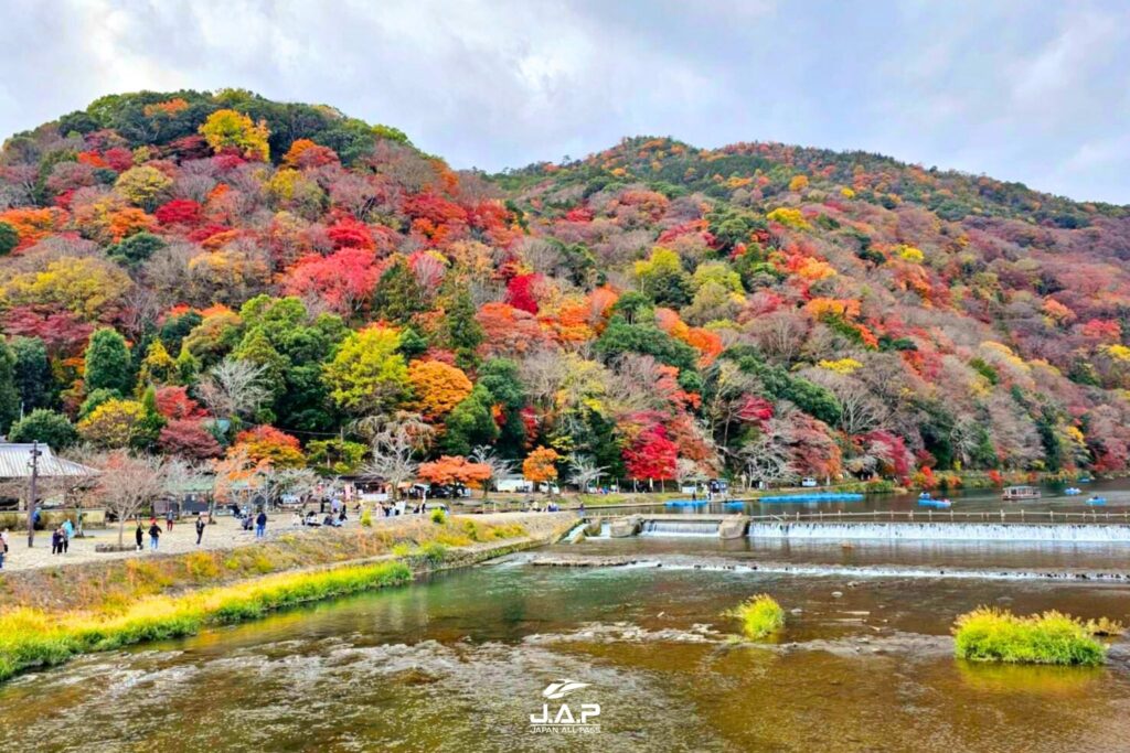 Kyoto Autumn