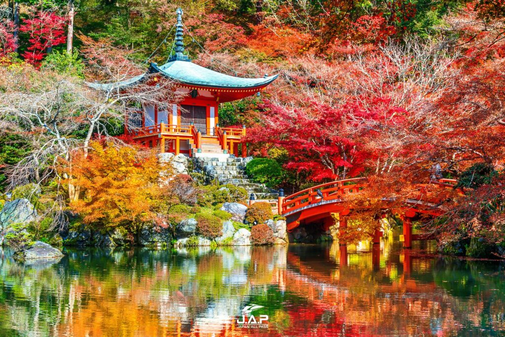 Kyoto Autumn 4