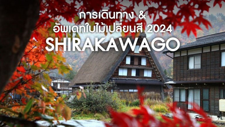 ใบไม้เปลี่ยนสีหมู่บ้านมรดกโลก Shirakawago 