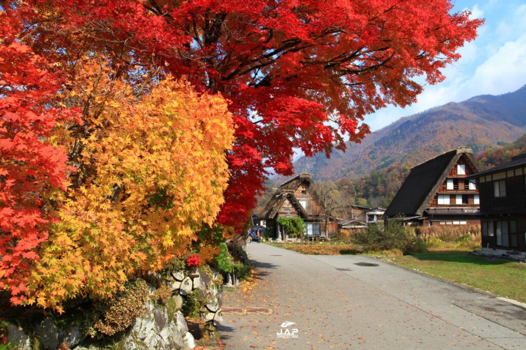 Shirakawago3 1