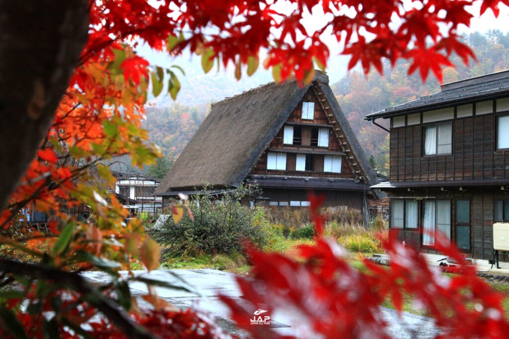 Shirakawago4