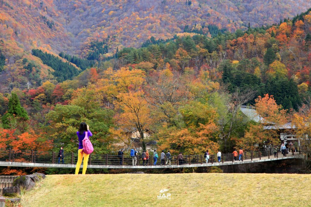 Shirakawago6