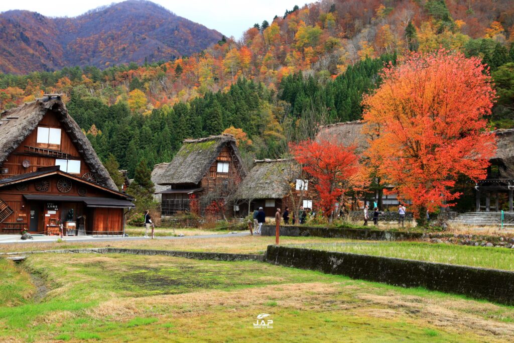 Shirakawago7