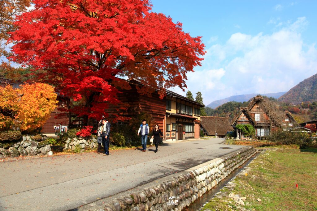 Shirakawago9