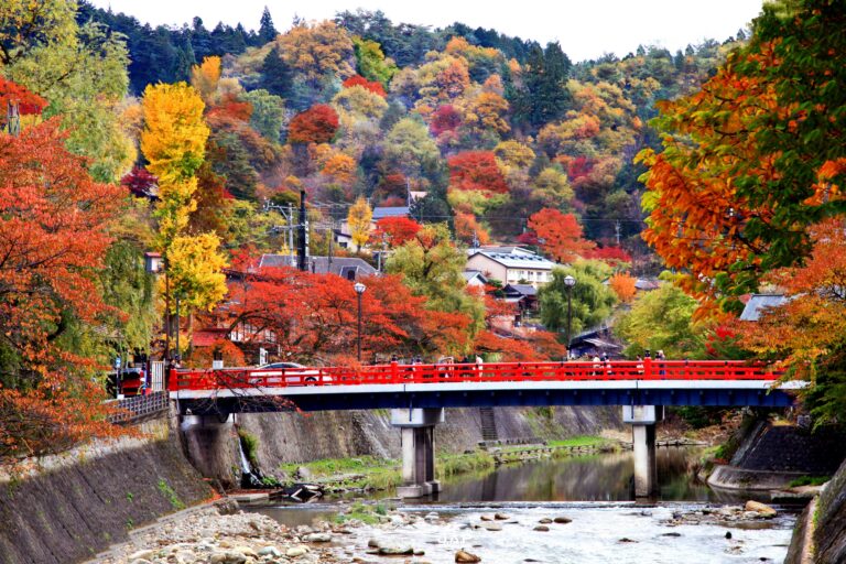 ใบไม้เปลี่ยนสีเมือง Takayama
