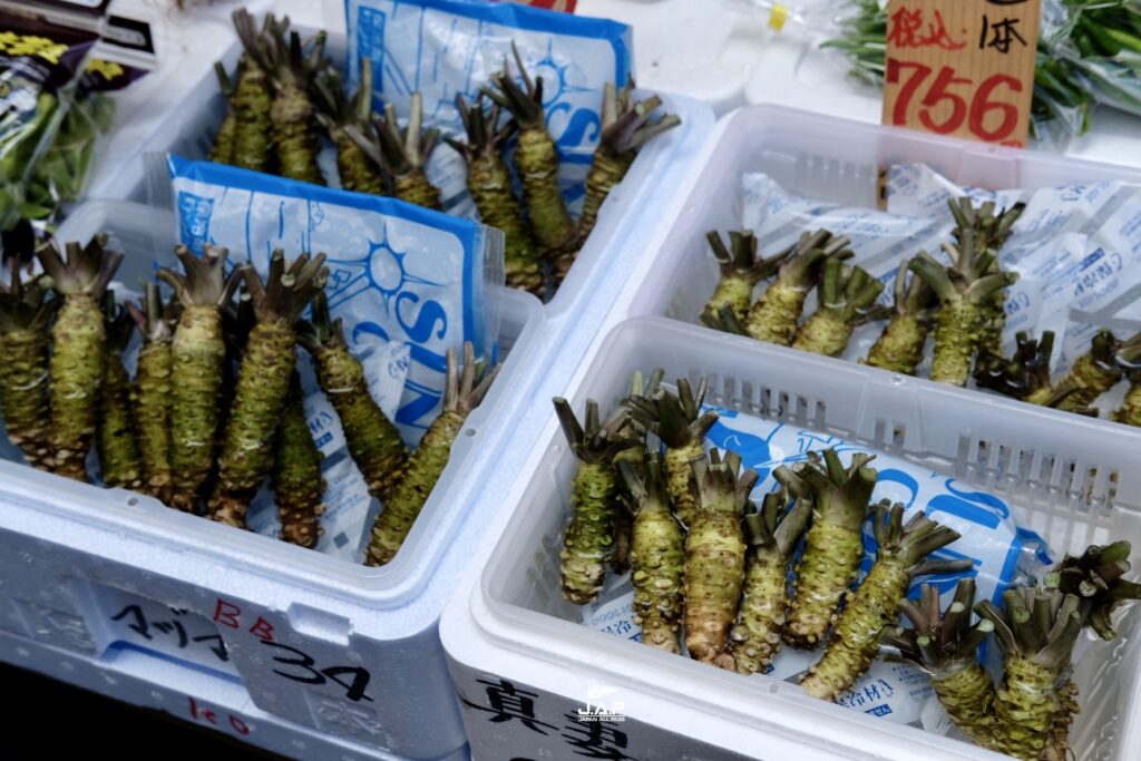 Tsukiji Fish Market8