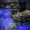 บัตรเข้าชมพิพิธภัณฑ์สัตว์น้ำซูมิดะ - Sumida Aquarium Admission Ticket - Image 11
