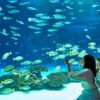 บัตรเข้าชมพิพิธภัณฑ์สัตว์น้ำในโตเกียว - Sunshine Aquarium - Image 3