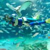 บัตรเข้าชมพิพิธภัณฑ์สัตว์น้ำในโตเกียว - Sunshine Aquarium - Image 4
