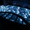 บัตรเข้าชมพิพิธภัณฑ์สัตว์น้ำซูมิดะ - Sumida Aquarium Admission Ticket - Image 9