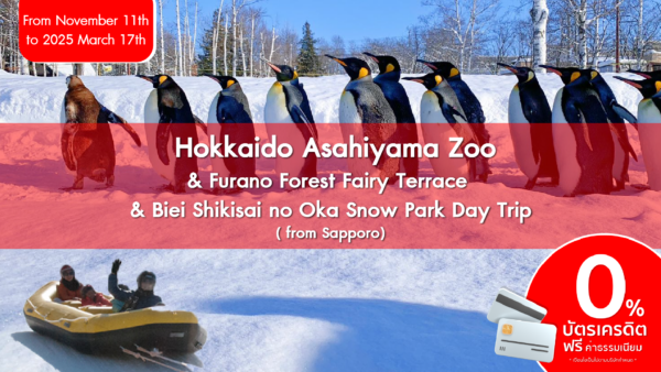 Hokkaido Asahiyama Zoo Furano Forest Fairy Terrace Biei Shikisai no Oka Snow Park Day Trip fro