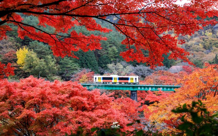 ใบไม้เปลี่ยนสีสวน Yamatsuriyama Park