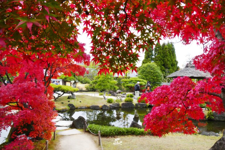 ใบไม้เปลี่ยนสี Himeji Koko-en