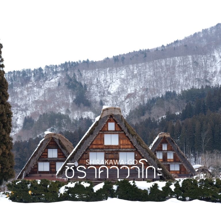 ชิราคาวาโกะ(Shirakawa-Go) หมู่บ้านโบราณกลางหุบเขา เที่ยวด้วยตัวเอง เดินทางง่ายด้วยระบบขนส่งสาธารณะ