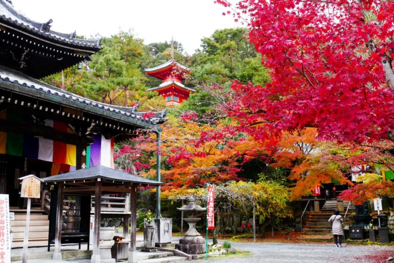 ใบไม้เปลี่ยนสี Imakumano Kannon-ji