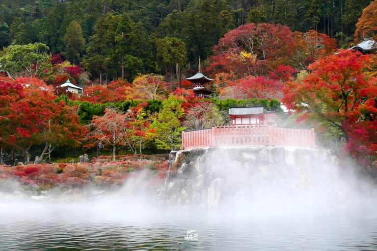 ใบไม้เปลี่ยนสีวัด Katsuo-ji